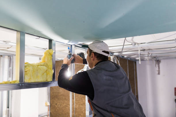 Best Residential Insulation in Kalamazoo, MI