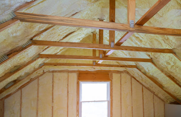 Best Insulation Maintenance and Repair in Kalamazoo, MI